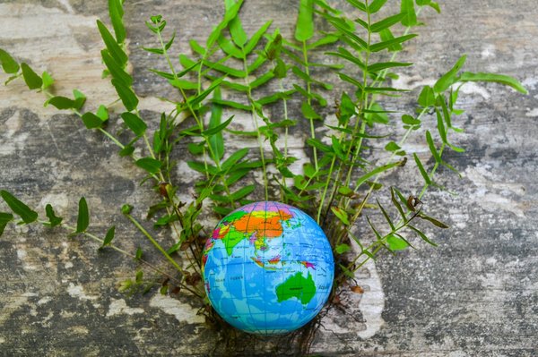 Comment les critères ESG influencent-ils les décisions d'investissement et de financement ?